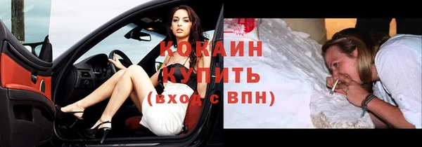 твердый Богородицк