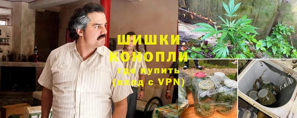Альфа ПВП Богородск