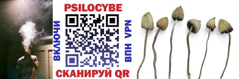 купить наркоту Волжск Псилоцибиновые грибы MAGIC MUSHROOMS