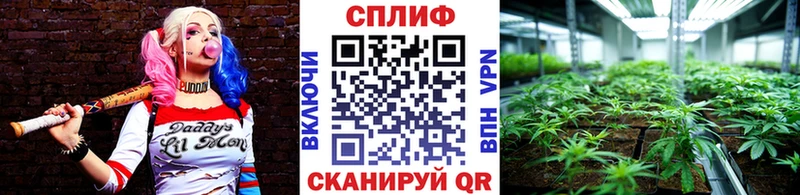 Бошки марихуана сатива  купить наркотик  Волжск 